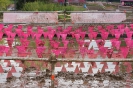 Muddy Angel Run 2017_157