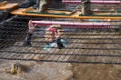 Muddy Angel Run 2017_204
