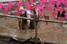 Muddy Angel Run 2017_273