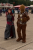 DLR_2013_83