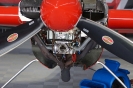 Red Bull Air Race 2016_413