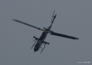 Red Bull_103