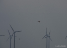 Red Bull_183